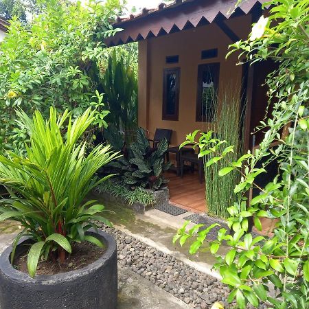 Juda Homestay Banyuwangi  Eksteriør bilde