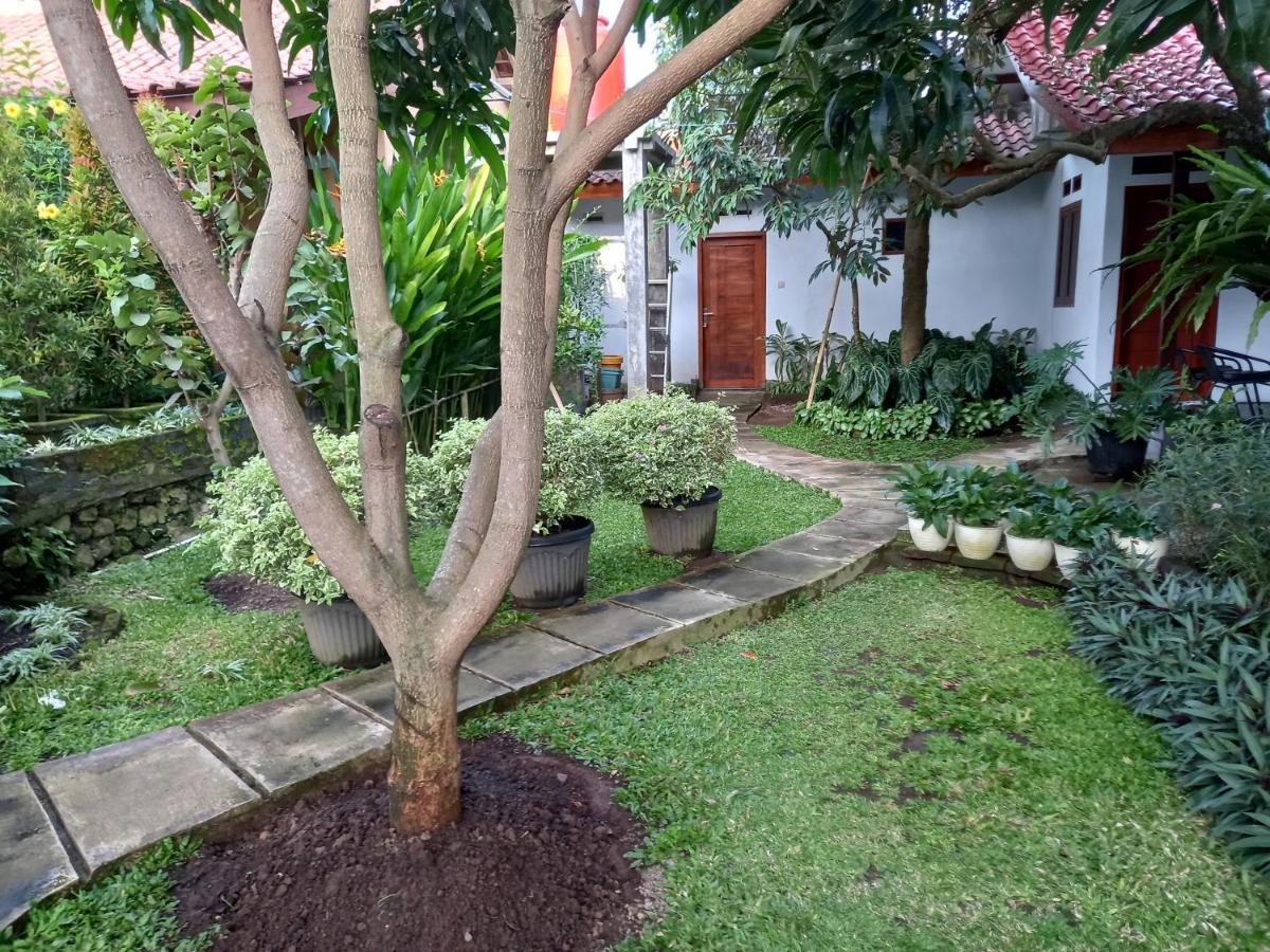Juda Homestay Banyuwangi  Eksteriør bilde
