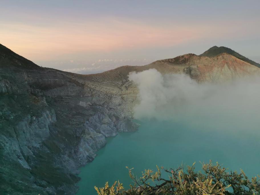 Juda Homestay Banyuwangi  Eksteriør bilde