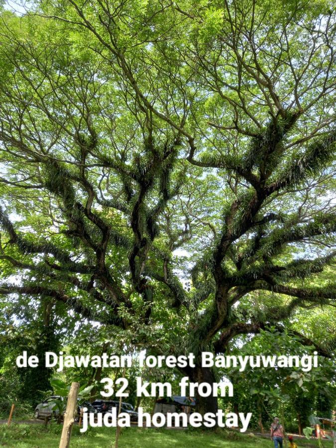 Juda Homestay Banyuwangi  Eksteriør bilde