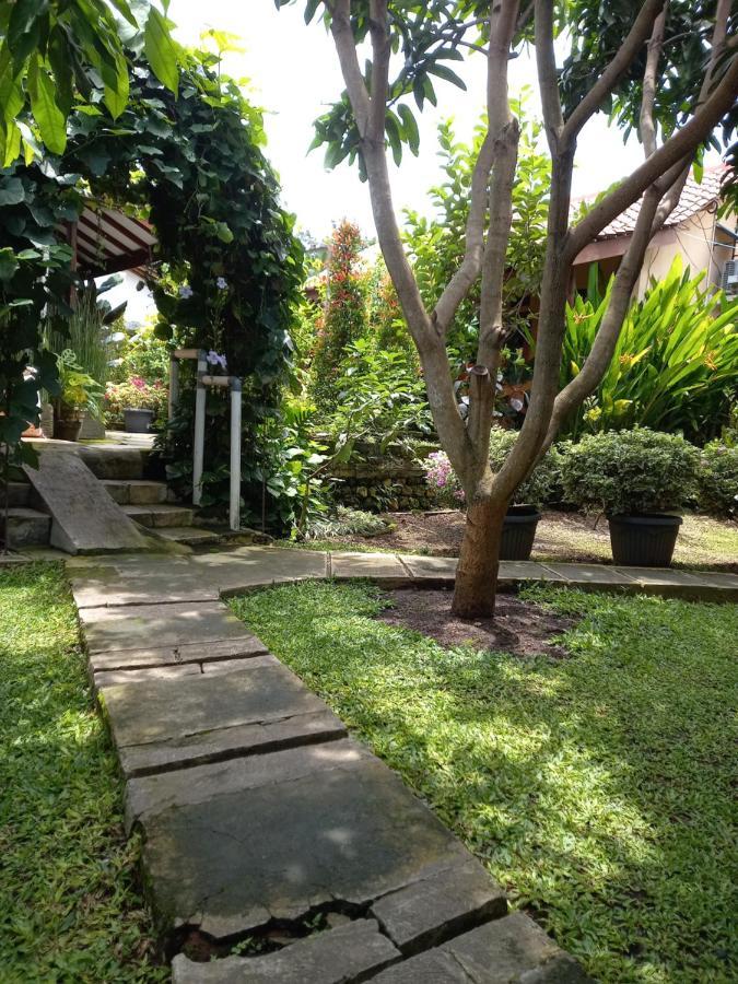 Juda Homestay Banyuwangi  Eksteriør bilde