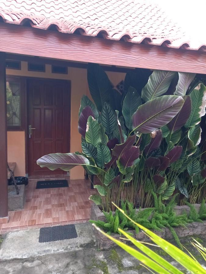 Juda Homestay Banyuwangi  Eksteriør bilde