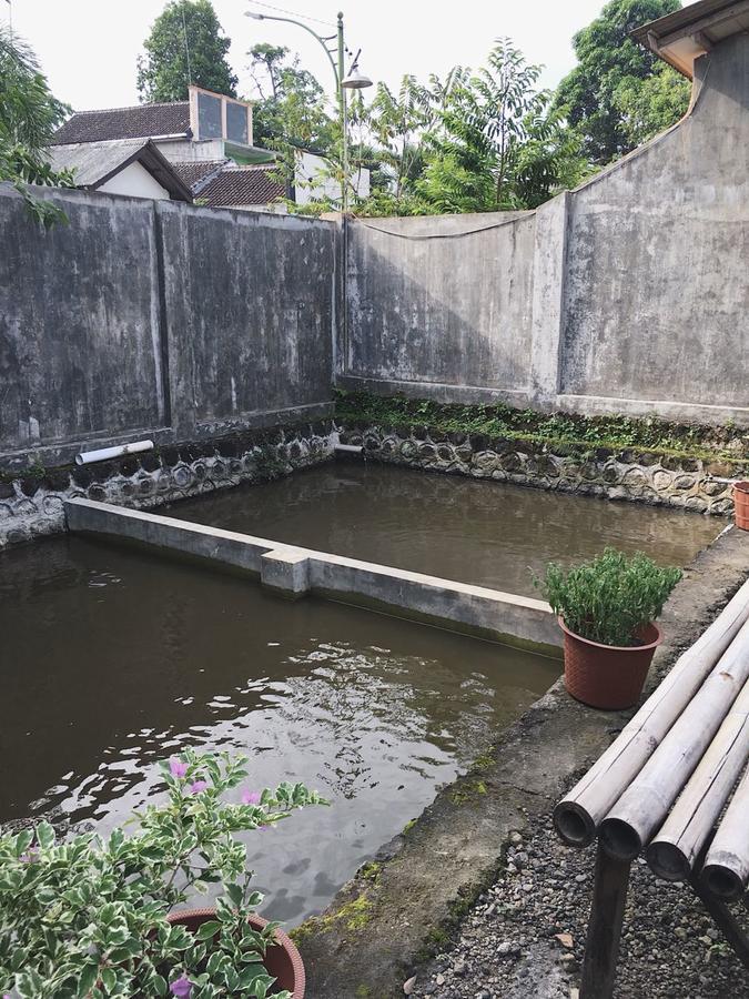 Juda Homestay Banyuwangi  Eksteriør bilde
